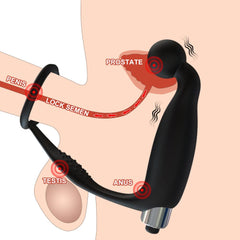 3 In1 Anal Vibrator & Finger Vibrator mit Penis Stimulation — Fierce Expansion
